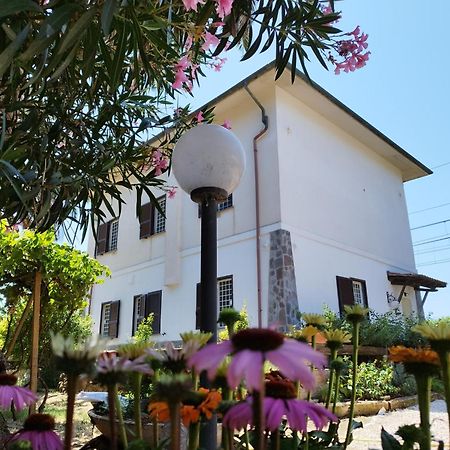 Bed and Breakfast La Domus Di Cosa Ansedónia Exterior foto