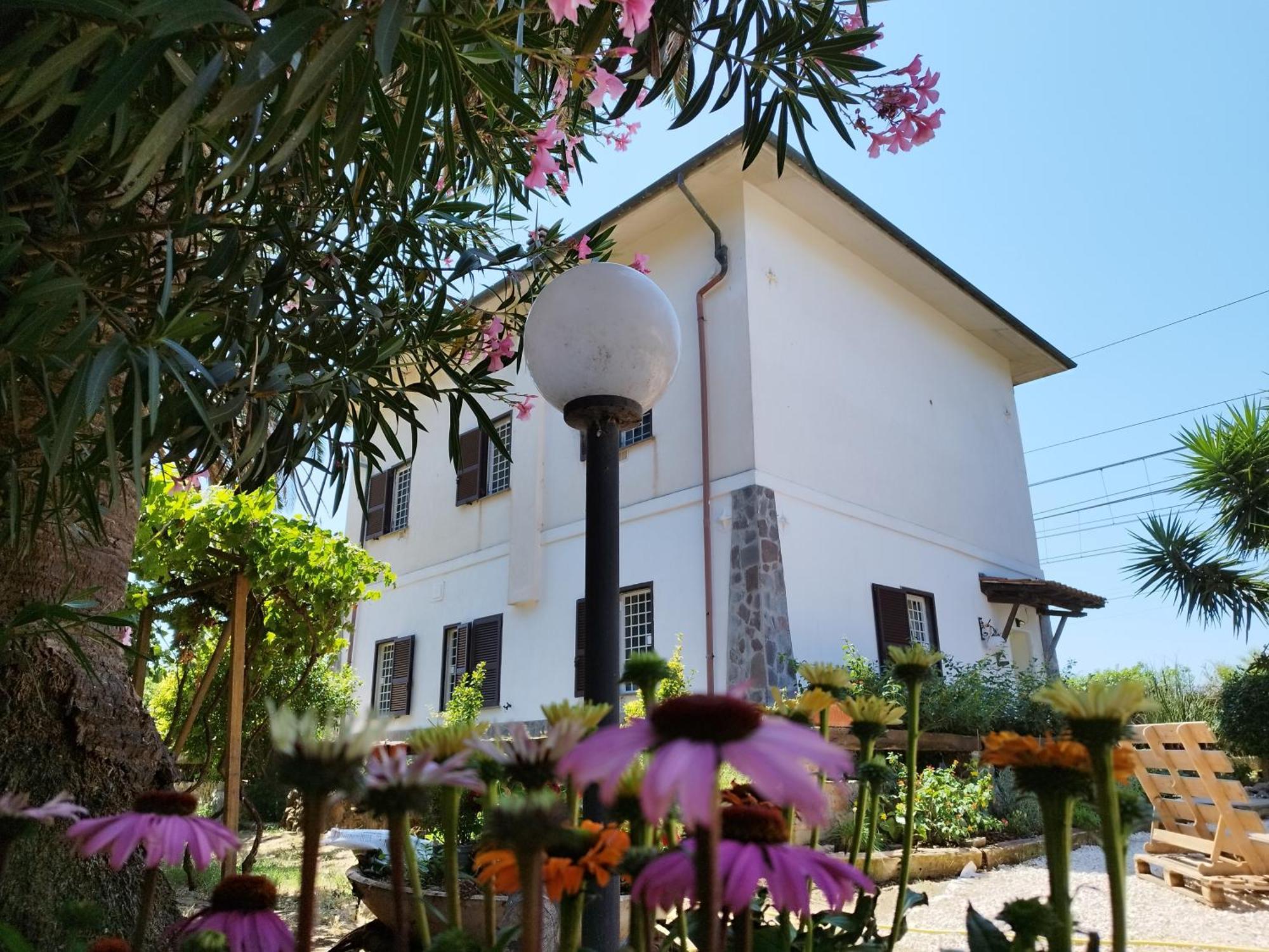 Bed and Breakfast La Domus Di Cosa Ansedónia Exterior foto